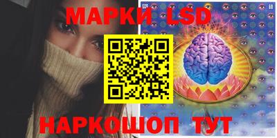 гидра Славгород