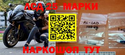гидра Славгород