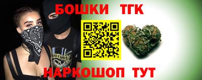 гидра Славгород