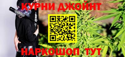 гидра Славгород