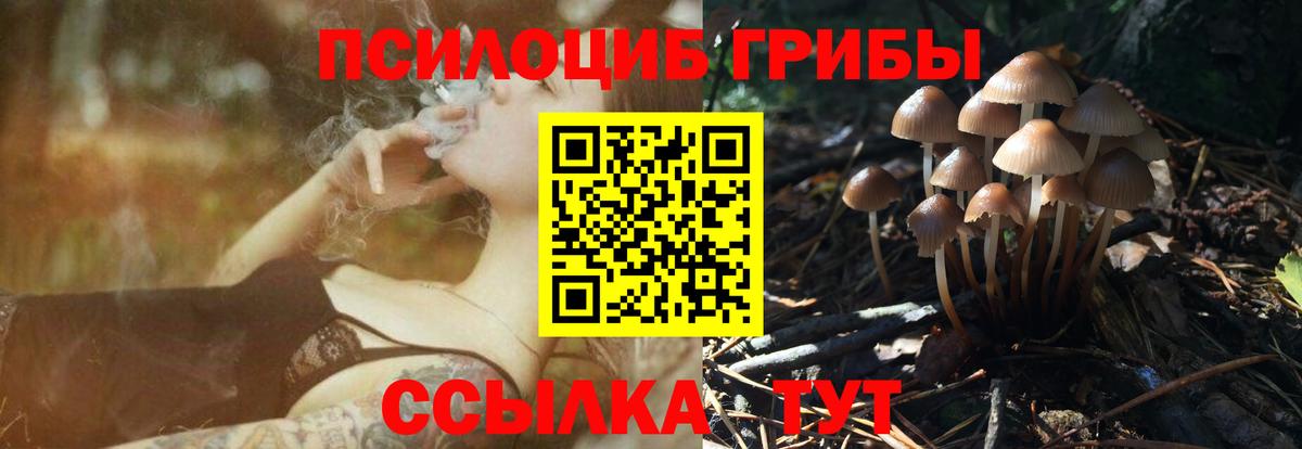Псилоцибиновые грибы ЛСД  Псилоцибиновые грибы Psilocybine cubensis  Нижний Тагил  Вход с VPN 